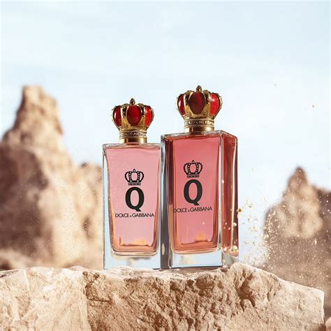 dolce gabbana dark cherry amber|q by dolce and gabbana intense.